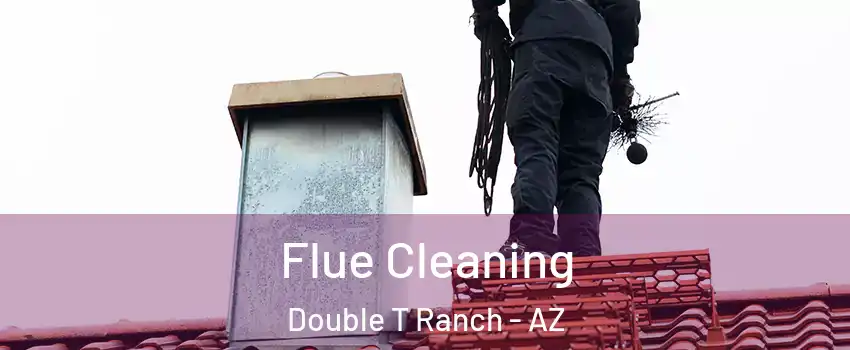 Flue Cleaning Double T Ranch - AZ