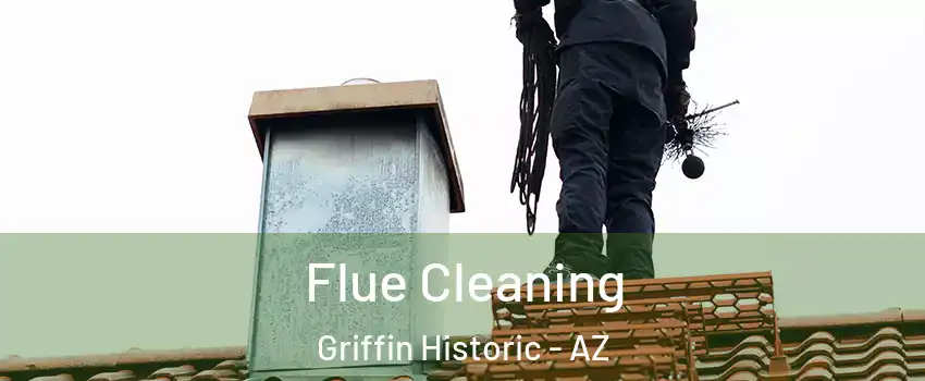 Flue Cleaning Griffin Historic - AZ