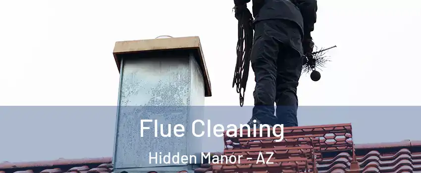 Flue Cleaning Hidden Manor - AZ