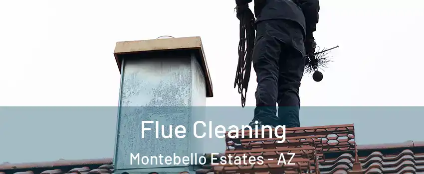 Flue Cleaning Montebello Estates - AZ