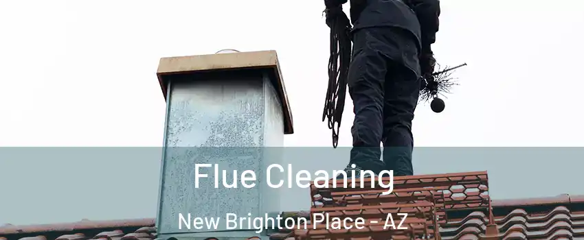 Flue Cleaning New Brighton Place - AZ