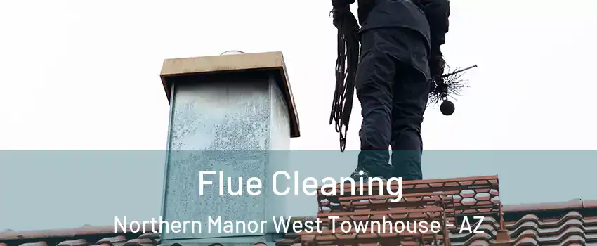 Flue Cleaning Northern Manor West Townhouse - AZ