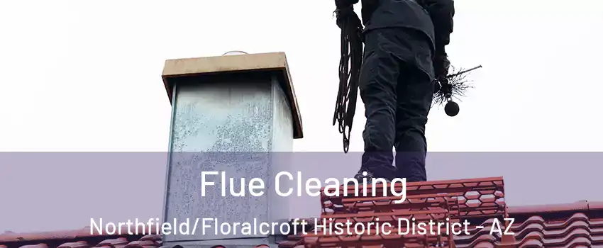 Flue Cleaning Northfield/Floralcroft Historic District - AZ