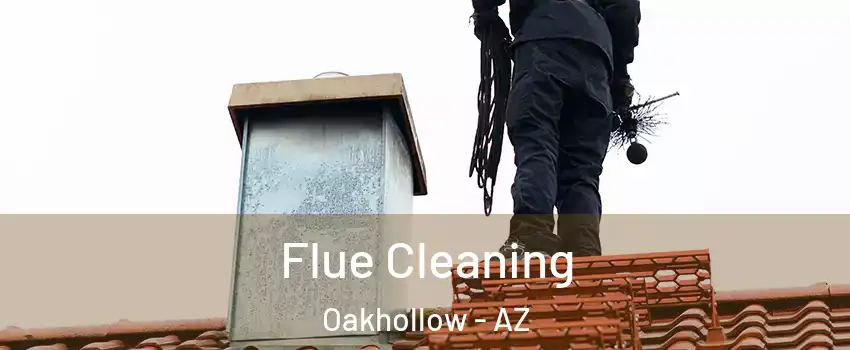 Flue Cleaning Oakhollow - AZ