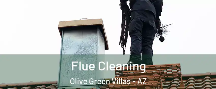 Flue Cleaning Olive Green Villas - AZ