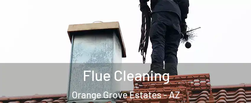 Flue Cleaning Orange Grove Estates - AZ