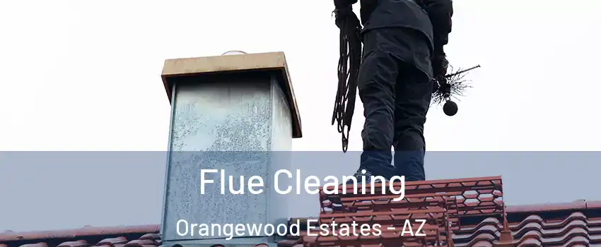 Flue Cleaning Orangewood Estates - AZ