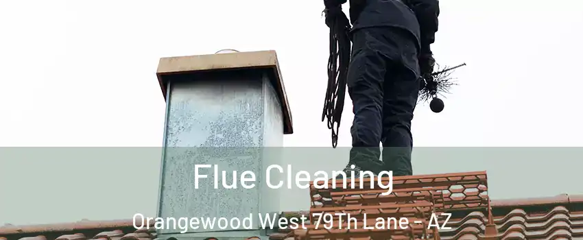 Flue Cleaning Orangewood West 79Th Lane - AZ