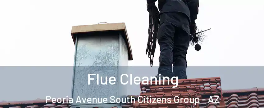 Flue Cleaning Peoria Avenue South Citizens Group - AZ