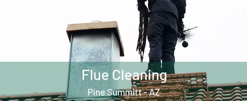 Flue Cleaning Pine Summitt - AZ