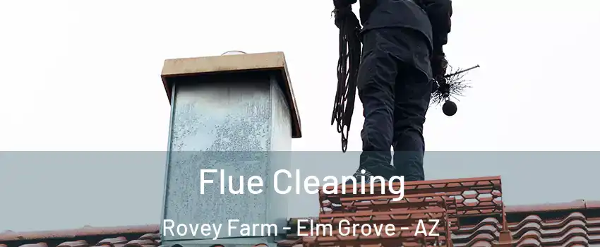 Flue Cleaning Rovey Farm - Elm Grove - AZ