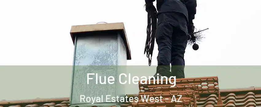 Flue Cleaning Royal Estates West - AZ