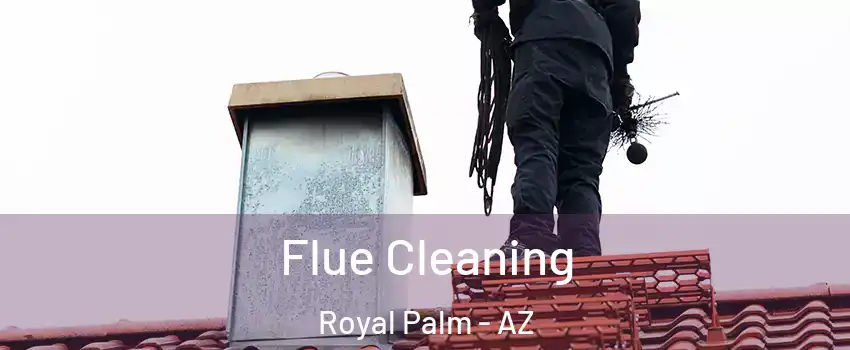 Flue Cleaning Royal Palm - AZ