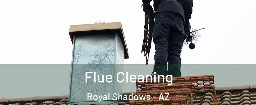 Flue Cleaning Royal Shadows - AZ