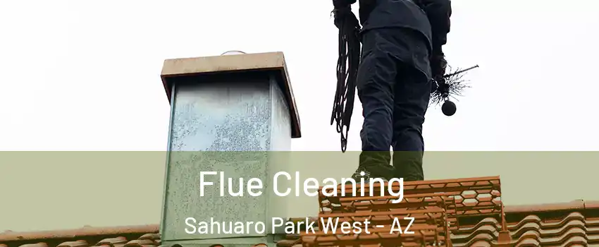 Flue Cleaning Sahuaro Park West - AZ