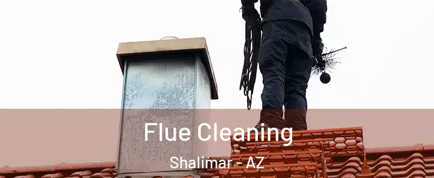 Flue Cleaning Shalimar - AZ