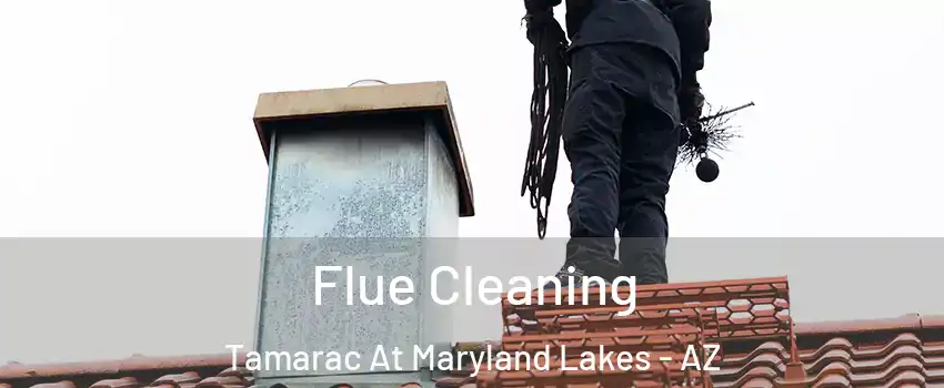 Flue Cleaning Tamarac At Maryland Lakes - AZ