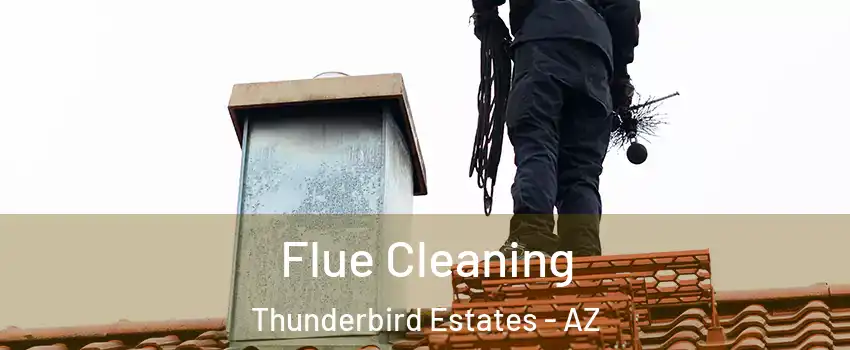 Flue Cleaning Thunderbird Estates - AZ