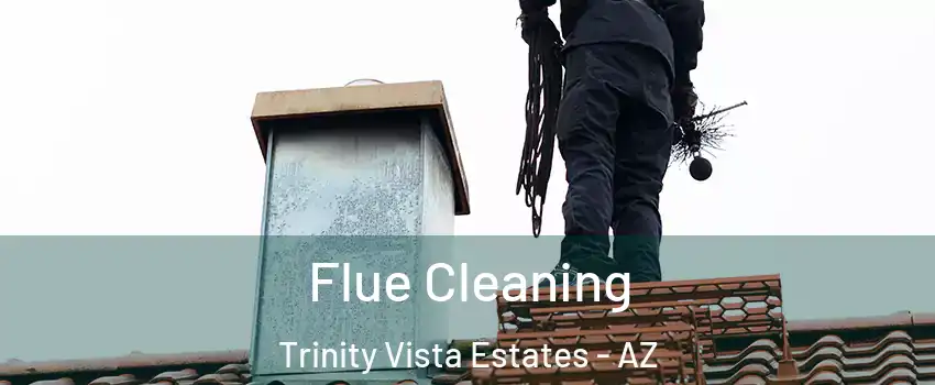 Flue Cleaning Trinity Vista Estates - AZ