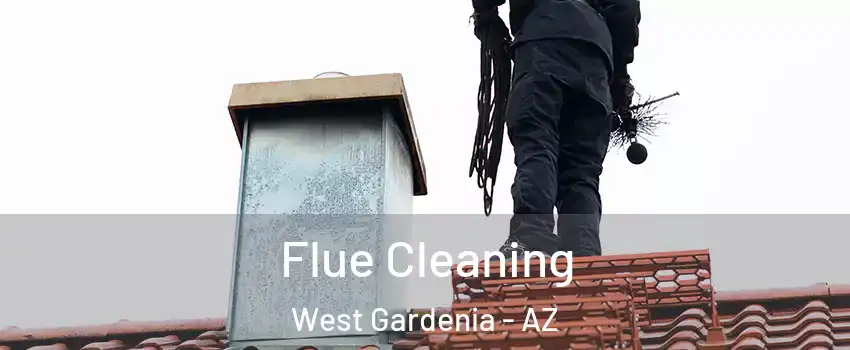 Flue Cleaning West Gardenia - AZ