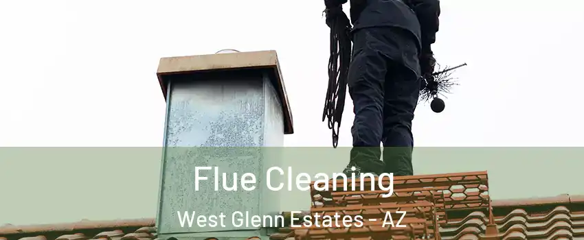 Flue Cleaning West Glenn Estates - AZ