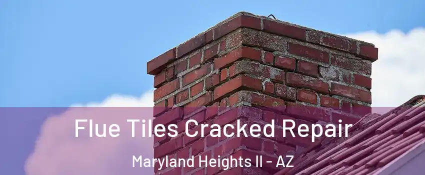 Flue Tiles Cracked Repair Maryland Heights II - AZ