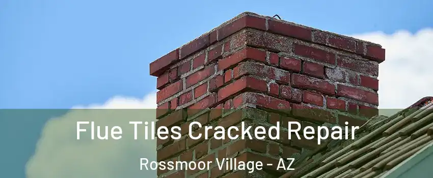 Flue Tiles Cracked Repair Rossmoor Village - AZ