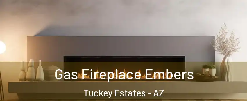 Gas Fireplace Embers Tuckey Estates - AZ