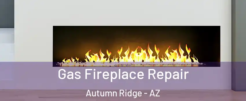 Gas Fireplace Repair Autumn Ridge - AZ