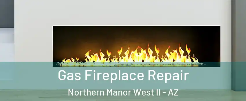 Gas Fireplace Repair Northern Manor West II - AZ