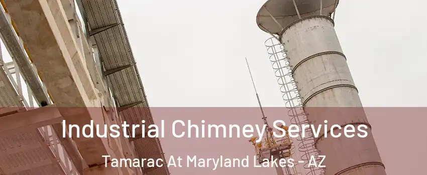 Industrial Chimney Services Tamarac At Maryland Lakes - AZ