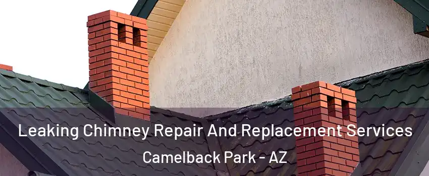 Leaking Chimney Repair And Replacement Services Camelback Park - AZ