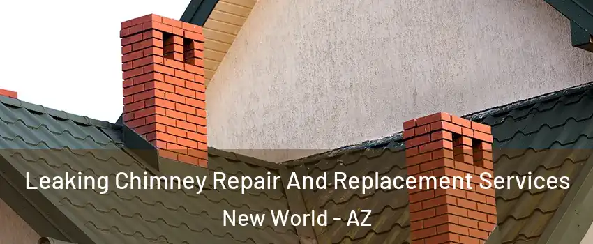 Leaking Chimney Repair And Replacement Services New World - AZ