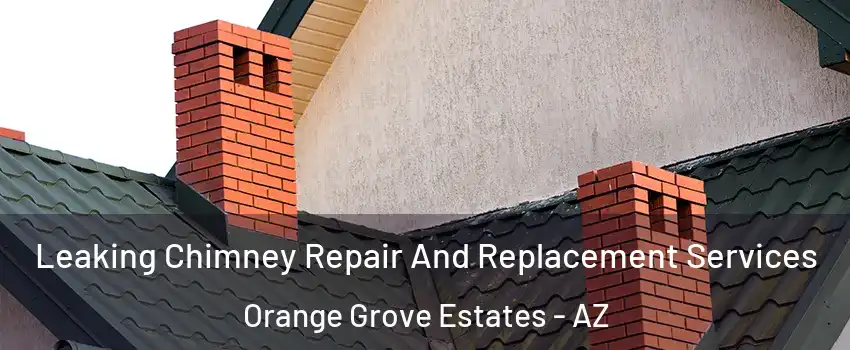 Leaking Chimney Repair And Replacement Services Orange Grove Estates - AZ