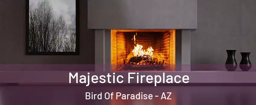 Majestic Fireplace Bird Of Paradise - AZ