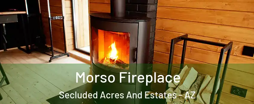 Morso Fireplace Secluded Acres And Estates - AZ