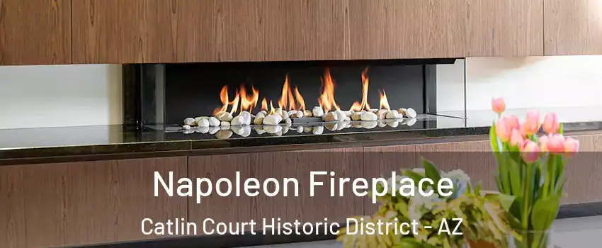 Napoleon Fireplace Catlin Court Historic District - AZ