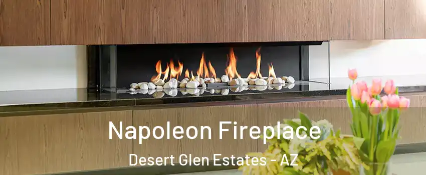 Napoleon Fireplace Desert Glen Estates - AZ