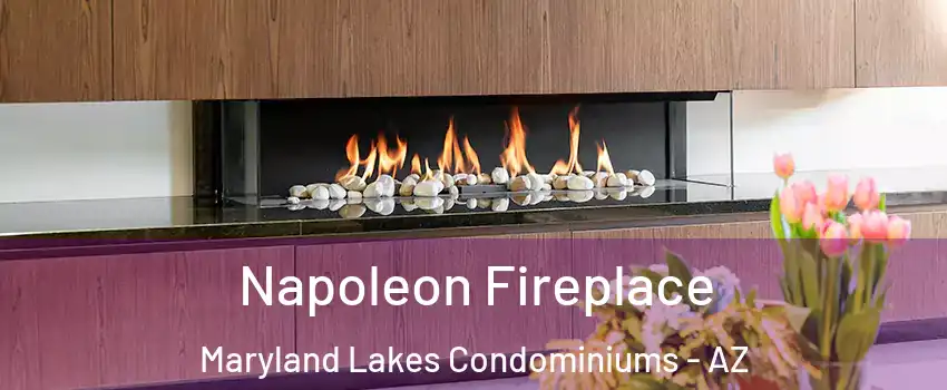 Napoleon Fireplace Maryland Lakes Condominiums - AZ