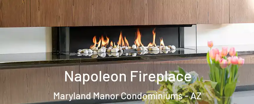 Napoleon Fireplace Maryland Manor Condominiums - AZ