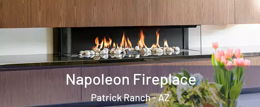 Napoleon Fireplace Patrick Ranch - AZ