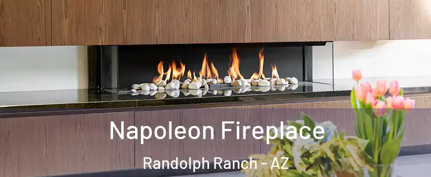 Napoleon Fireplace Randolph Ranch - AZ