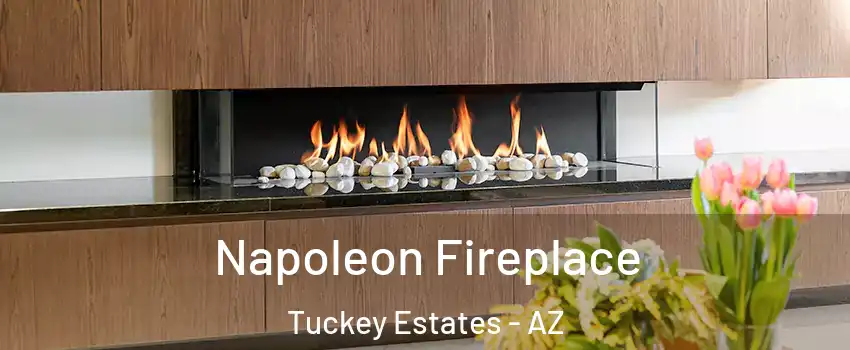 Napoleon Fireplace Tuckey Estates - AZ