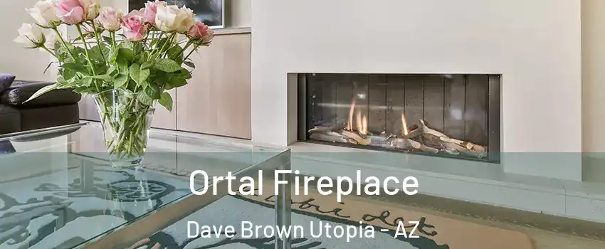 Ortal Fireplace Dave Brown Utopia - AZ