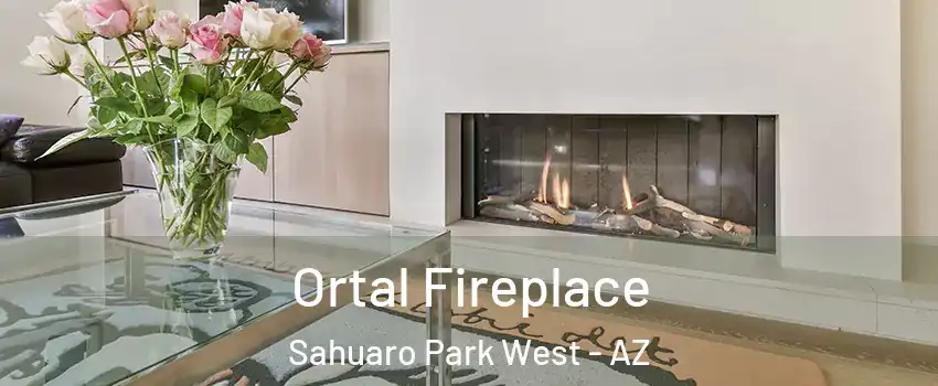 Ortal Fireplace Sahuaro Park West - AZ