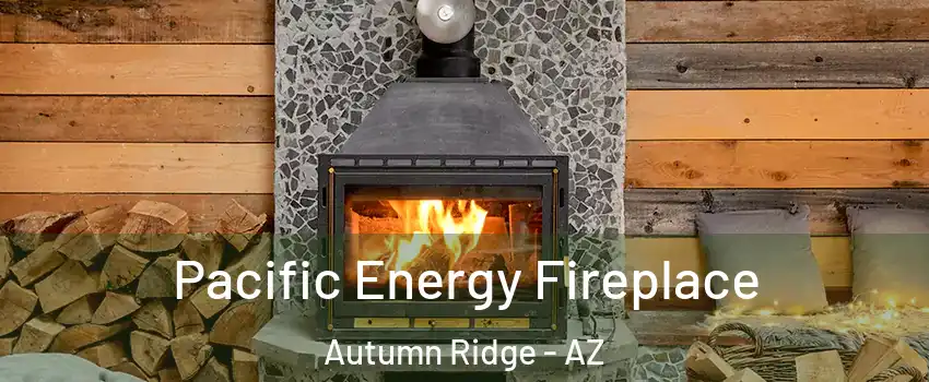 Pacific Energy Fireplace Autumn Ridge - AZ