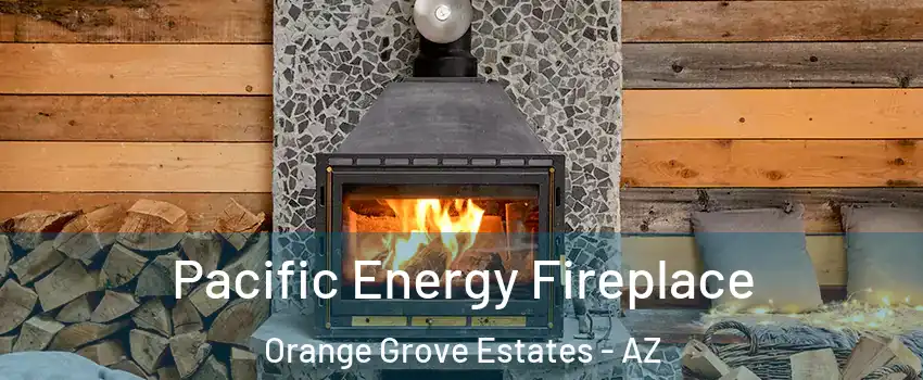 Pacific Energy Fireplace Orange Grove Estates - AZ