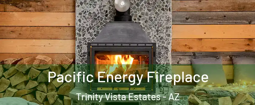 Pacific Energy Fireplace Trinity Vista Estates - AZ