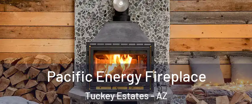 Pacific Energy Fireplace Tuckey Estates - AZ