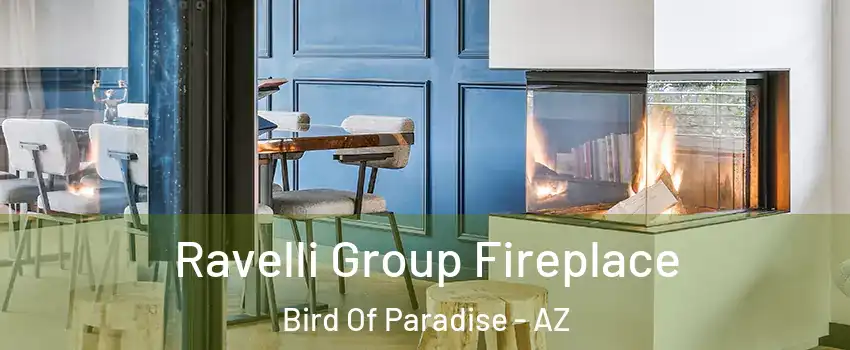 Ravelli Group Fireplace Bird Of Paradise - AZ